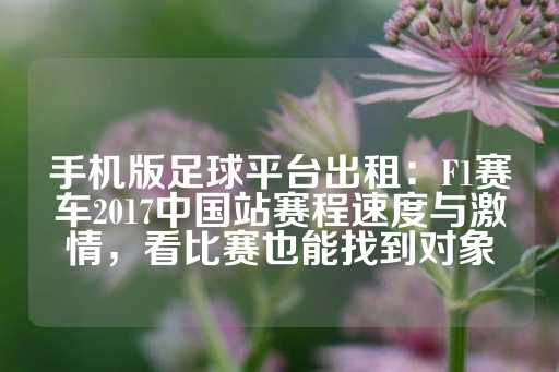 手机版足球平台出租：F1赛车2017中国站赛程速度与激情，看比赛也能找到对象