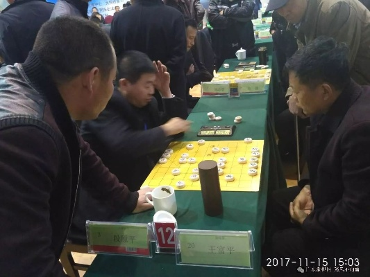 2017年太原象棋比赛冠军是谁？